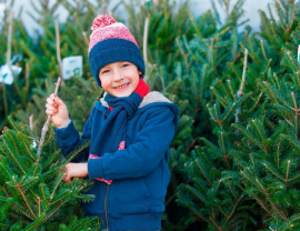 Weihnachtsbaumverkauf bei Firma Walker