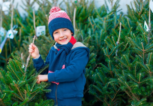 Weihnachtsbaumverkauf bei Firma Walker